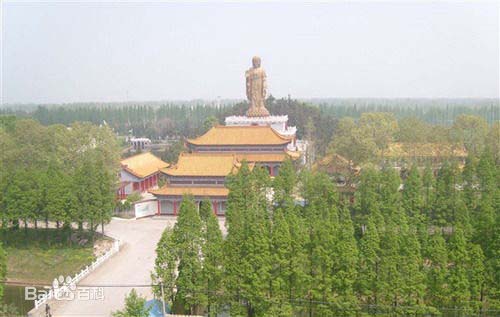 广州到阜阳货运专线