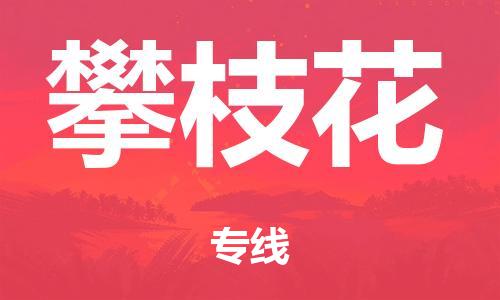 广州到攀枝花市物流公司|广州到攀枝花市货运专线|捷尔迅物流整车零担运输